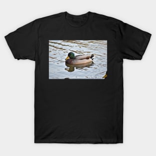 Father Duck T-Shirt